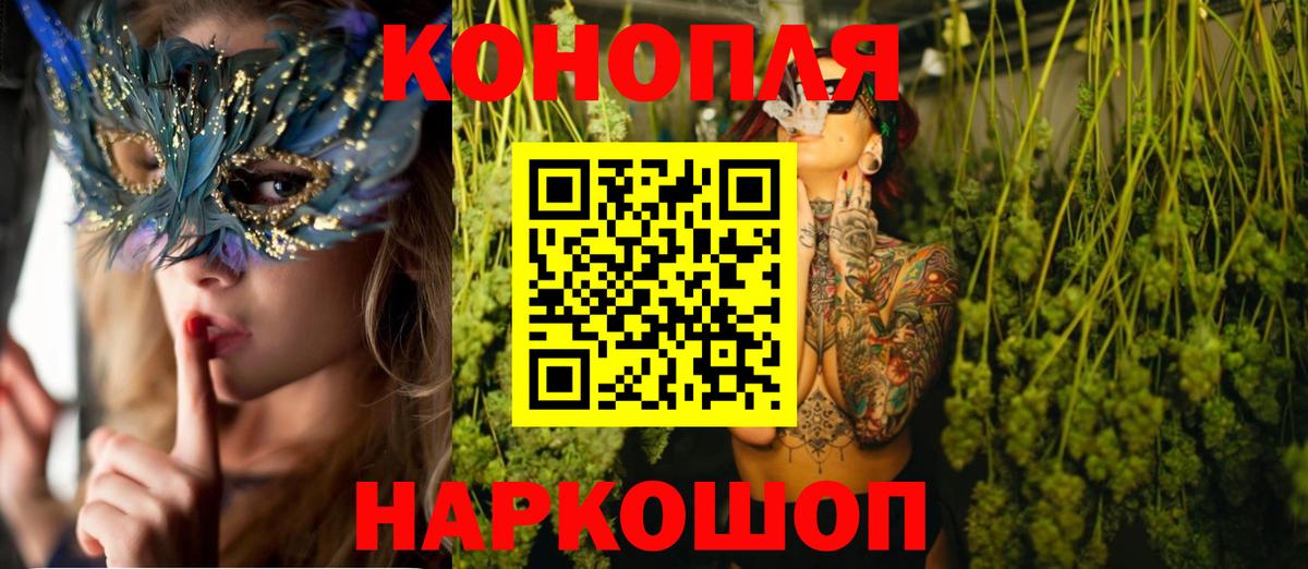 Бошки марихуана семена  Марихуана марихуана  Вход с VPN  Ессентуки 